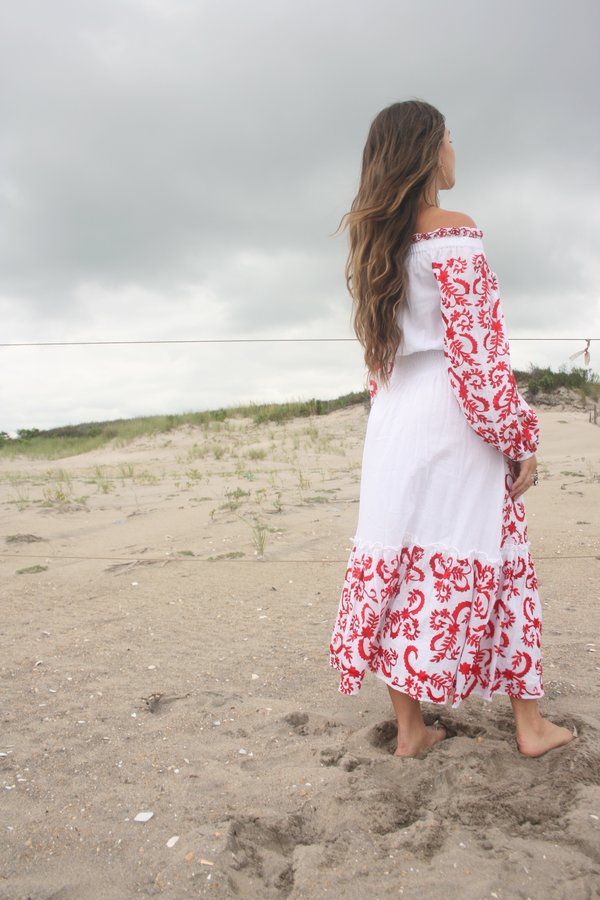 lilou embroidered dress Lilou Embroidery Maxi Dress