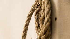 Article-space-20190123000753