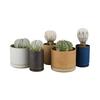 Hasami Porcelain Large Planter - Thumbnail 4