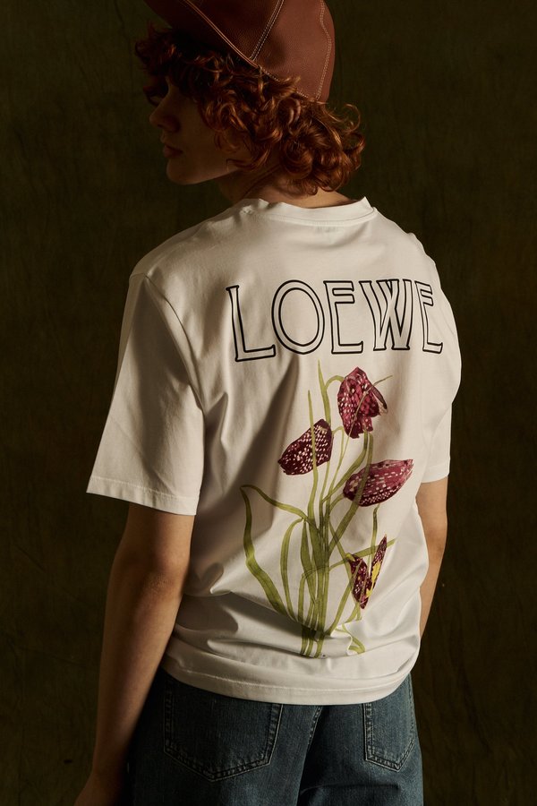 loewe mackintosh