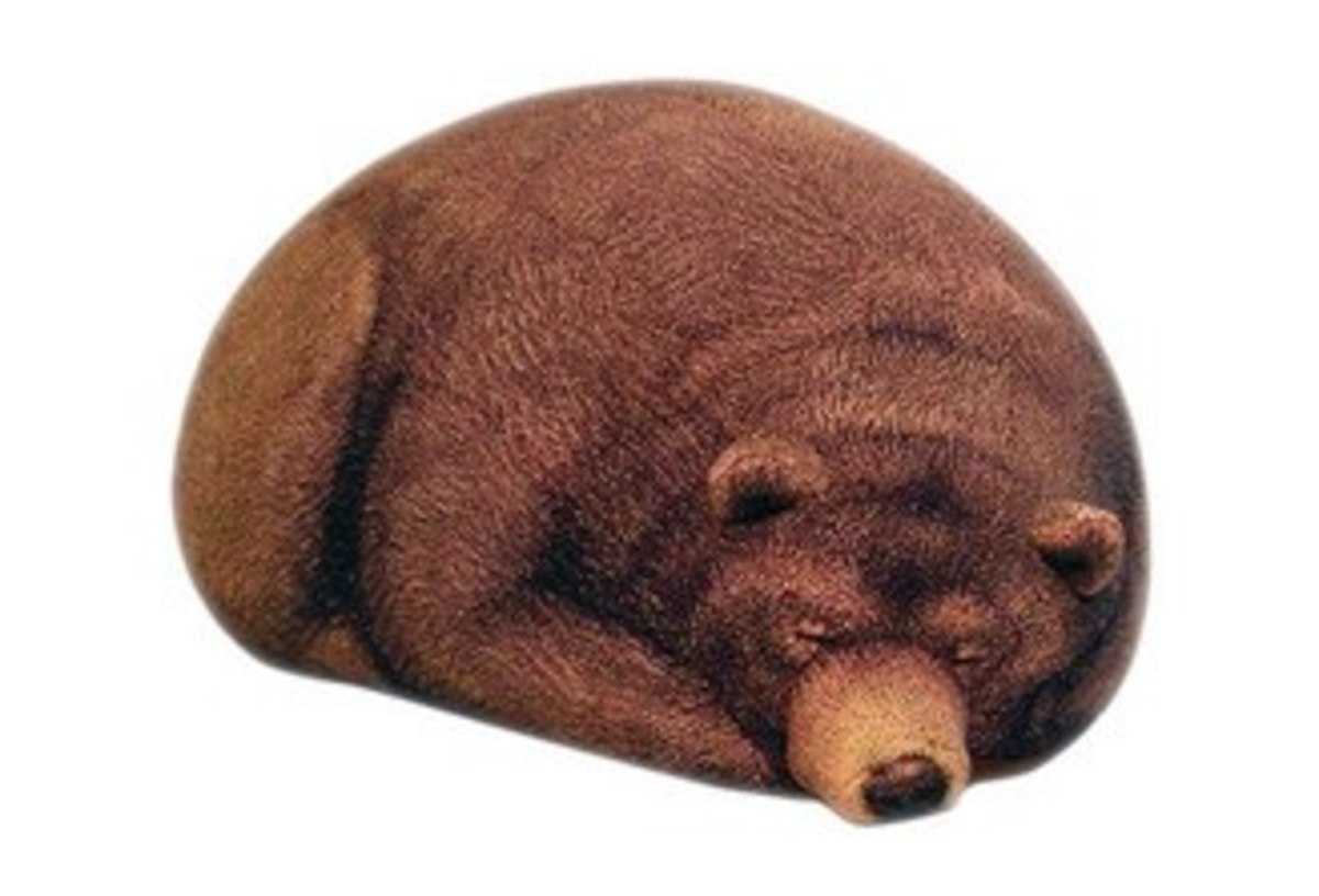 Chic Sin Design BIG SLEEPING GRIZZLY BEAR BEAN BAG Garmentory