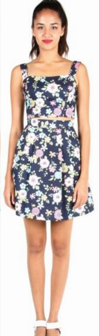 Birds of North America Aracari Skirt (Navy Floral) Birds of North America Aracari Skirt (Navy Floral)