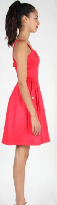 Birds of North America Tyrant Dress (Red) Birds of North America Tyrant Dress (Red)