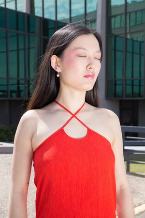Maryam Nassir Zadeh Blaze Dress Maryam Nassir Zadeh Blaze Dress
