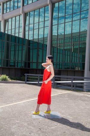Maryam Nassir Zadeh Blaze Dress Maryam Nassir Zadeh Blaze Dress