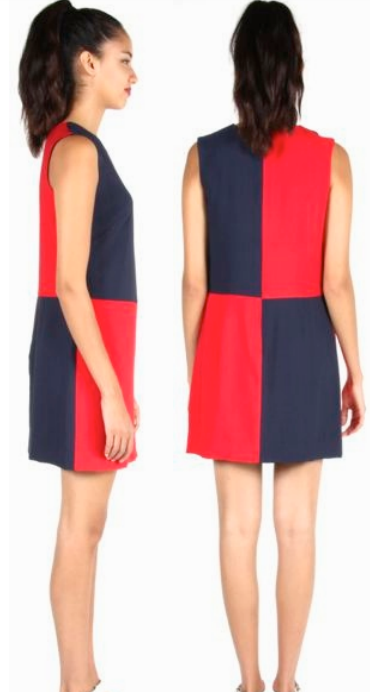 Birds of North America Vanga Dress (Red and Navy) Birds of North America Vanga Dress (Red and Navy)