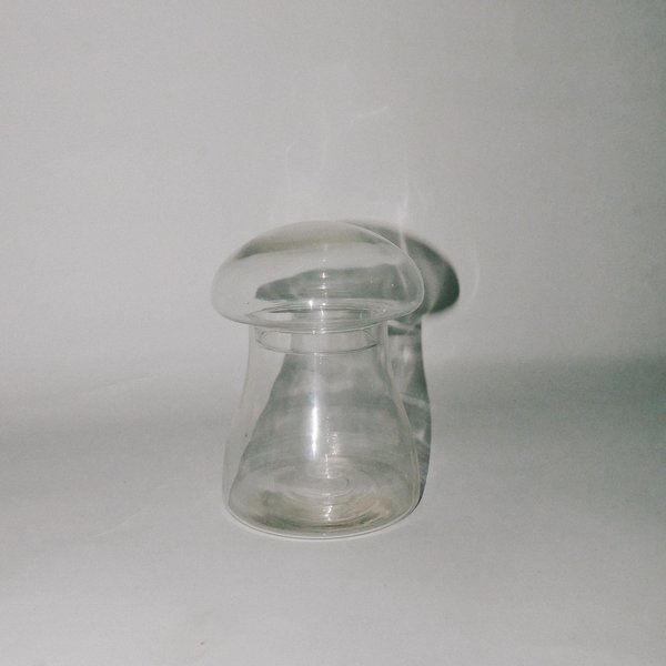 VINTAGE Leigh Collective Mushroom Jar - Clear VINTAGE Leigh Collective Mushroom Jar - Clear