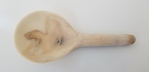 Dinosaur Designs Round Spoon Dinosaur Designs Round Spoon
