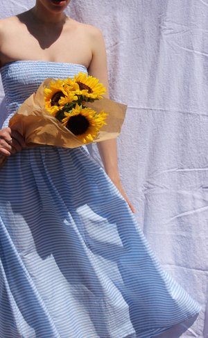 Pari Desai Pondicherry Skirt/Dress Pari Desai Pondicherry Skirt/Dress