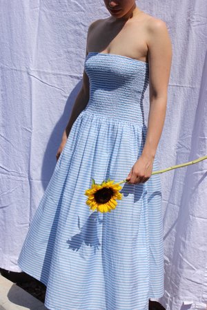 Pari Desai Pondicherry Skirt/Dress Pari Desai Pondicherry Skirt/Dress