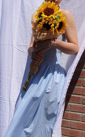Pari Desai Pondicherry Skirt/Dress Pari Desai Pondicherry Skirt/Dress