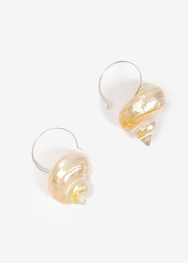 Luiny Turbo Shell Earrings Luiny Turbo Shell Earrings