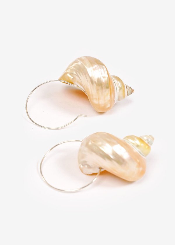Luiny Turbo Shell Earrings Luiny Turbo Shell Earrings
