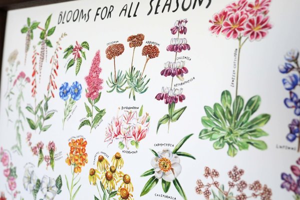 Maria Schoettler Blooms for All Seasons Print Maria Schoettler Blooms for All Seasons Print
