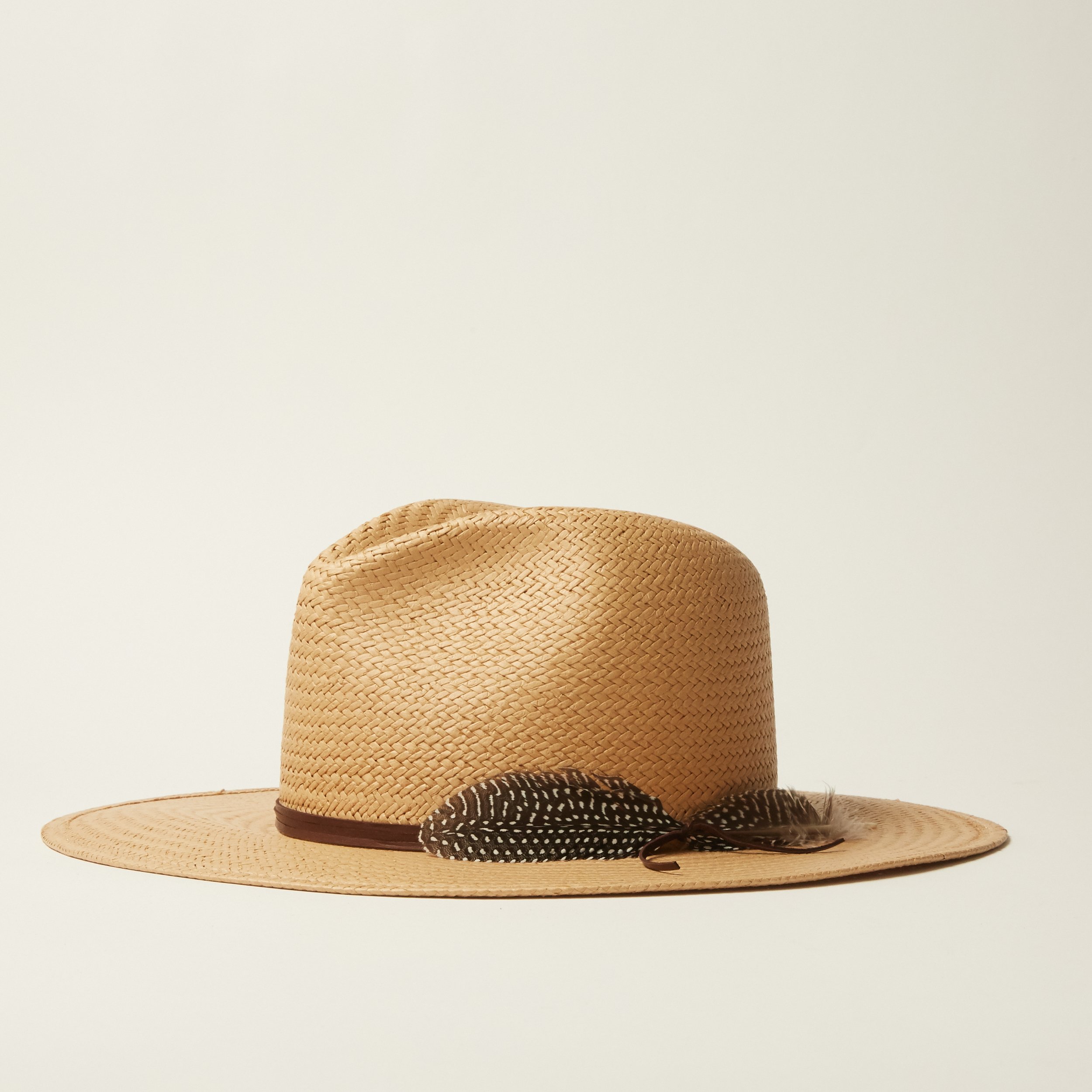 Lovely bird fedora Clearance