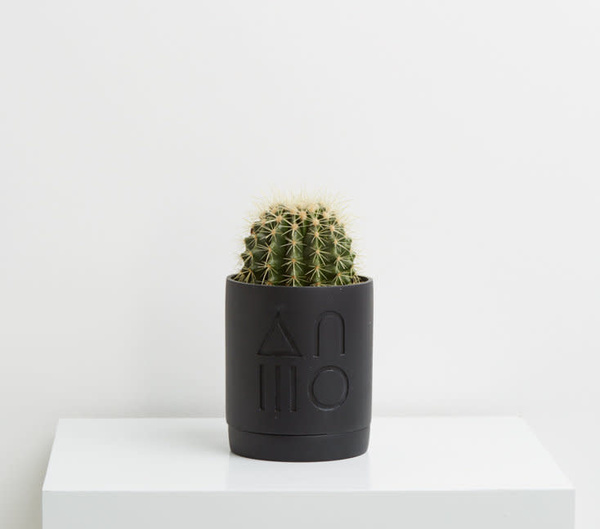 Capra Small Etch Planter - Midnight Capra Small Etch Planter - Midnight