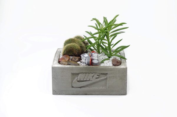 silk potted plants Dira Evergreen 5 Artificial Potted Plant main image 0