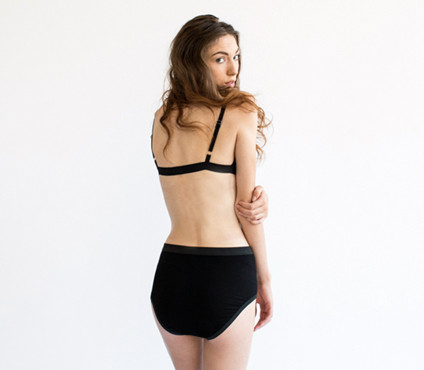 REIFhaus Apex Brief REIFhaus Apex Brief