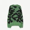 Kids The Animals Observatory Arty Raccoon Cardigan - Green/Black - Thumbnail 2