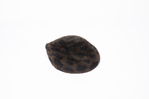 Clyde Sazy Hat Clyde Sazy Hat