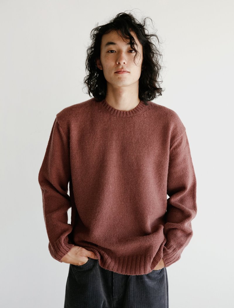 AURLEE PURE SHETLAND WOOL KNIT P/O ニット（오라리 셰틀랜드