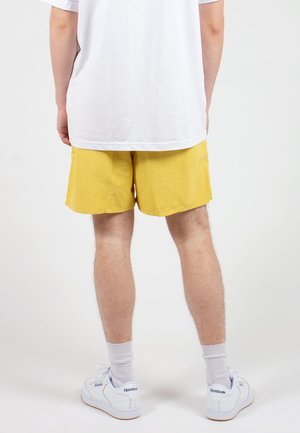 Patagonia 5 inch Baggies Shorts 