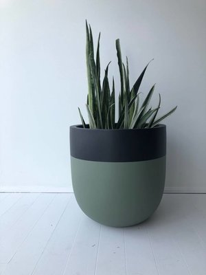 Common House Studio divided small pot Common House Studio divided small pot