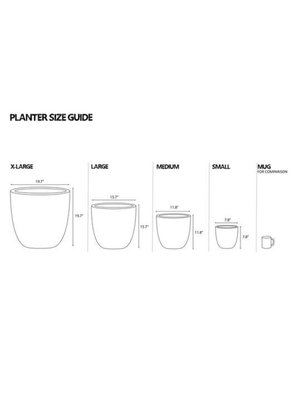 Common House Studio divided small pot Common House Studio divided small pot