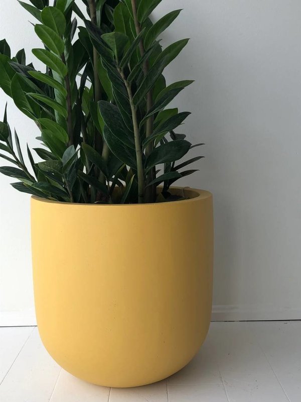 Common House Studio essential medium pot Common House Studio essential medium pot