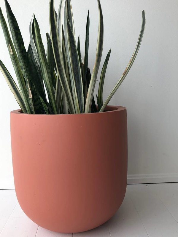 Common House Studio essential medium pot Common House Studio essential medium pot