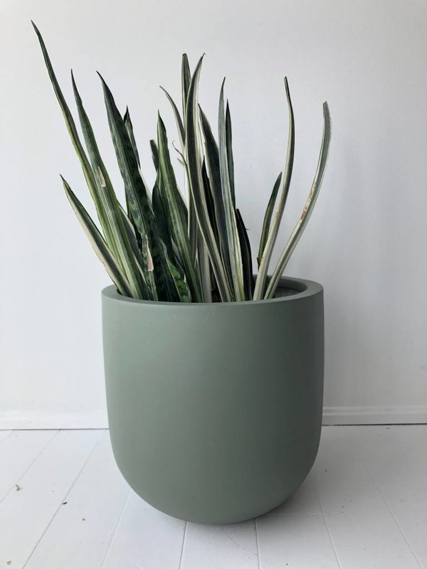 Common House Studio essential medium pot Common House Studio essential medium pot