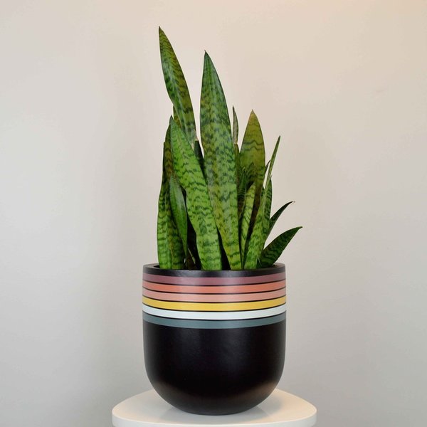 Common House Studio essential medium pot Common House Studio essential medium pot