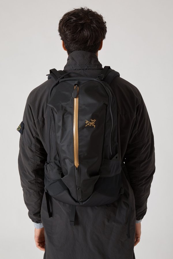 Arc'teryx Arro 22 Backpack - Black | Garmentory
