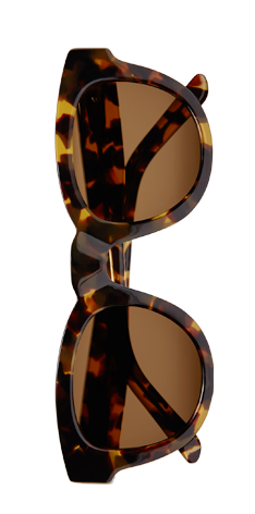 Sun Buddies Type 04 - Brown Tortoise Sun Buddies Type 04 - Brown Tortoise