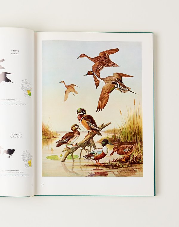 Vintage Birds of Wisconsin BOOK Vintage Birds of Wisconsin BOOK