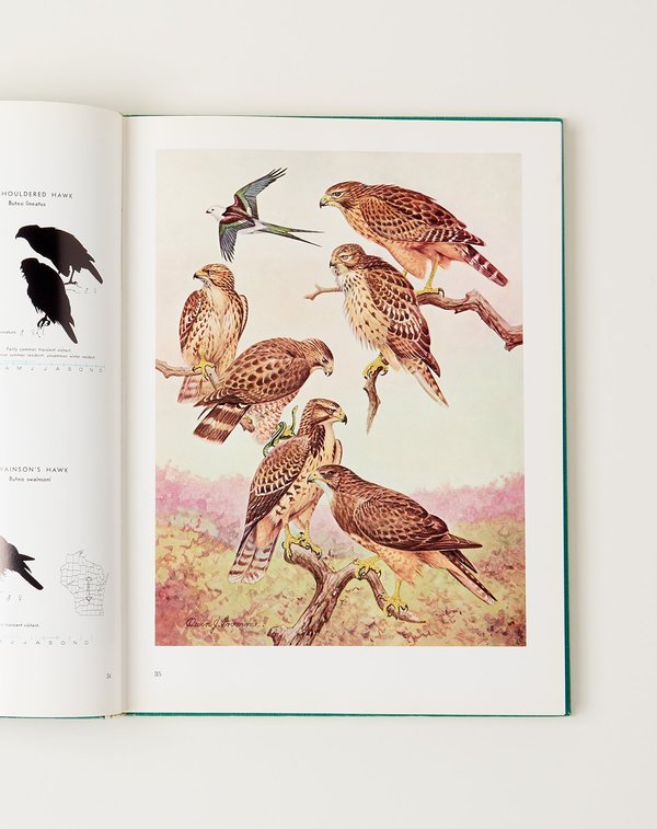 Vintage Birds of Wisconsin BOOK Vintage Birds of Wisconsin BOOK