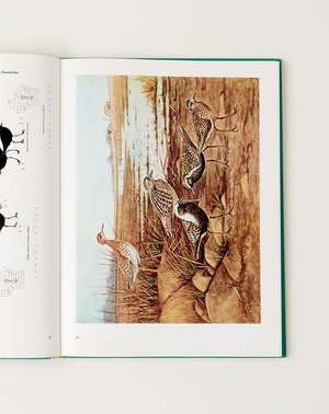 Vintage Birds of Wisconsin BOOK Vintage Birds of Wisconsin BOOK