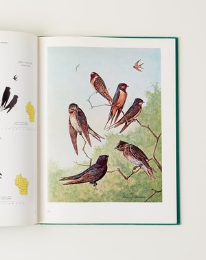 Vintage Birds of Wisconsin BOOK Vintage Birds of Wisconsin BOOK