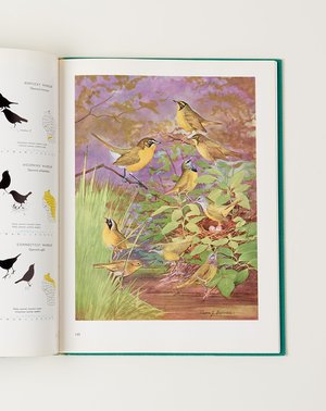 Vintage Birds of Wisconsin BOOK Vintage Birds of Wisconsin BOOK