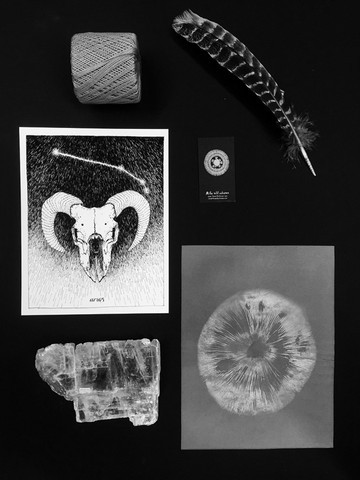 Aries Print Aries Print