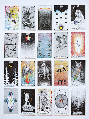 The Wild Unknown Tarot deck The Wild Unknown Tarot deck