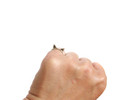Elaine Ho Cat Ring - 14K Gold - Thumbnail 5