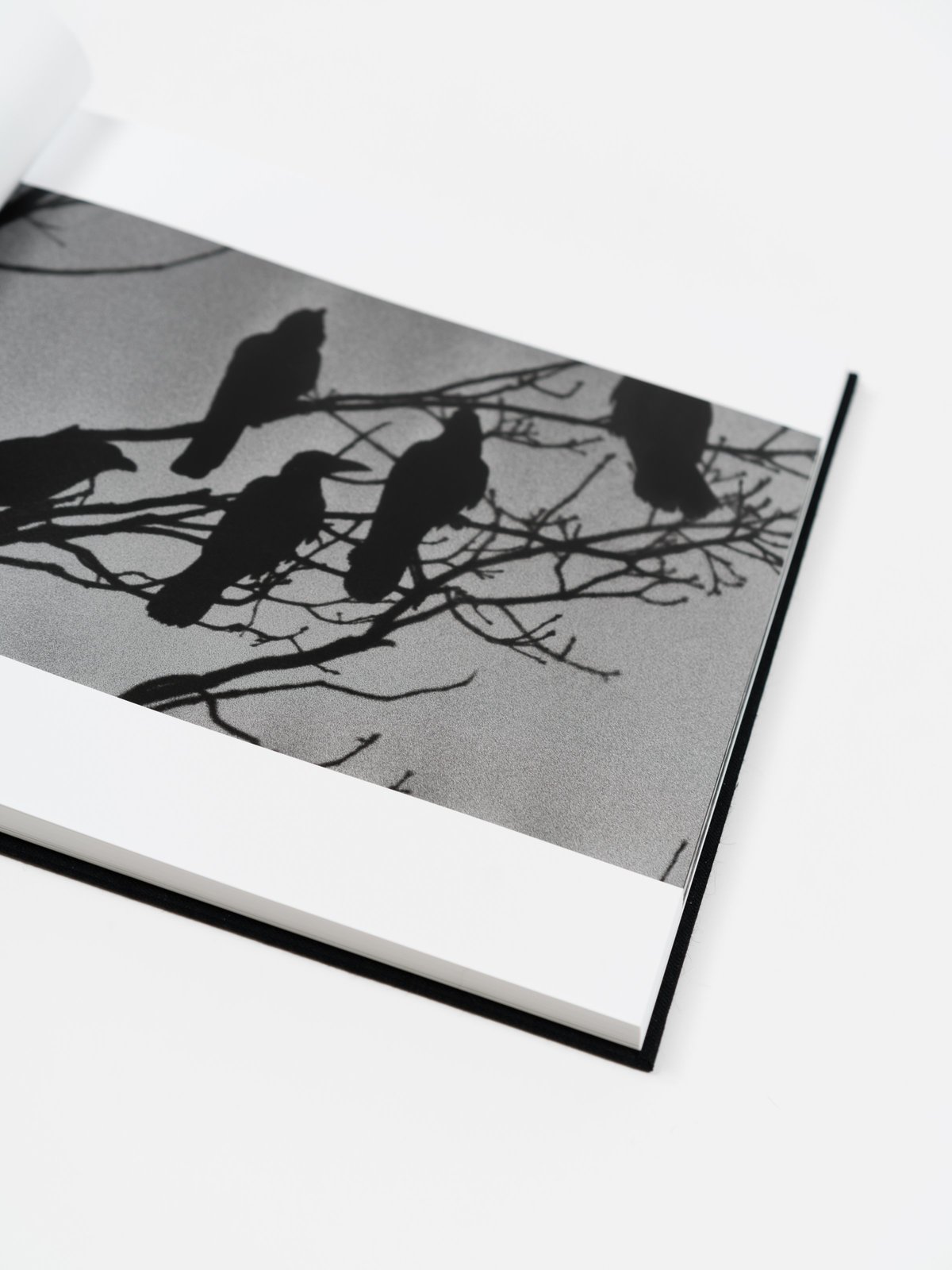 アート・デザイン・音楽 RAVENS MACK Mack Books Ravens By Masahisa Fukase | Garmentory