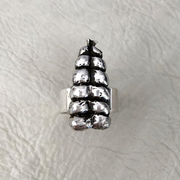 Heliotrope Rattle Ring - Silver Heliotrope Rattle Ring - Silver