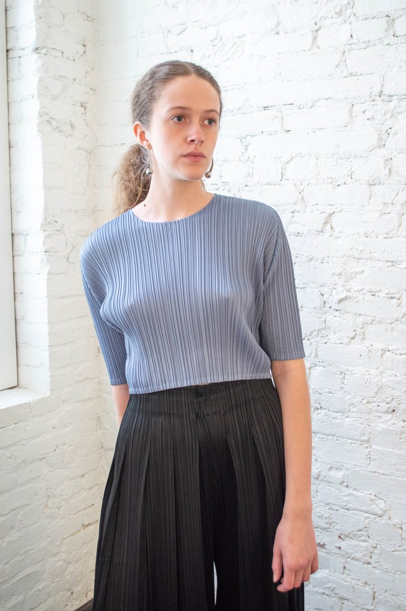 PLEATS PLEASE ISSEY MIYAKE Crop Top - Glass | Garmentory