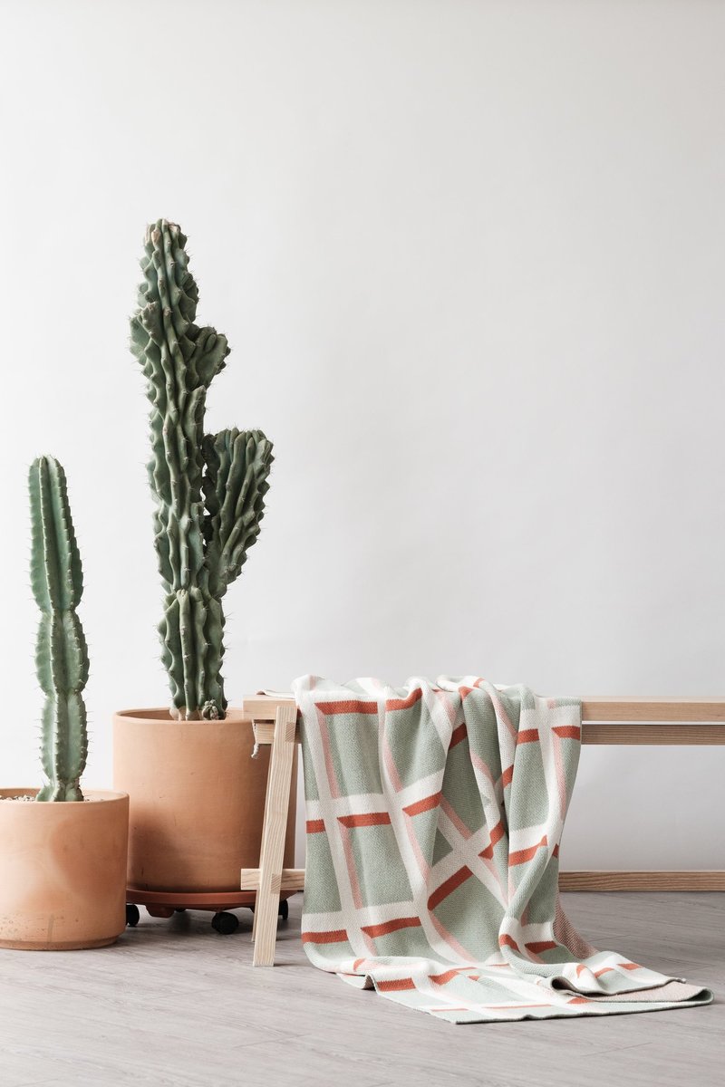 Happy Habitat Windowpane Knit Throw Blanket Pale Green/Blush