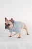 Maria Stanley DOG SWEATER - cloud - Thumbnail 1