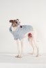 Maria Stanley DOG SWEATER - cloud - Thumbnail 6