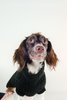 Maria Stanley Dog Sweater - Black - Thumbnail 6