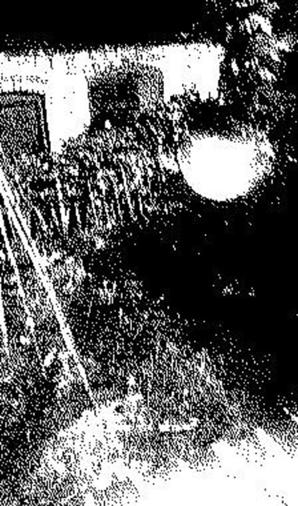HALF-WET Spectral Orb Rug HALF-WET Spectral Orb Rug